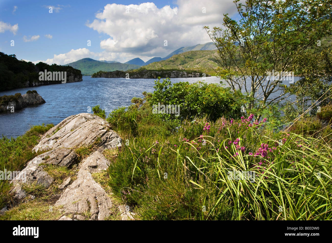 Muckross Lake, Killarney, Co. Kerry, Irlanda Foto Stock