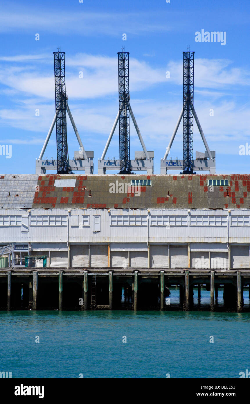 Gru e getta al Queen's Wharf, Auckland, Isola del nord, Nuova Zelanda Foto Stock