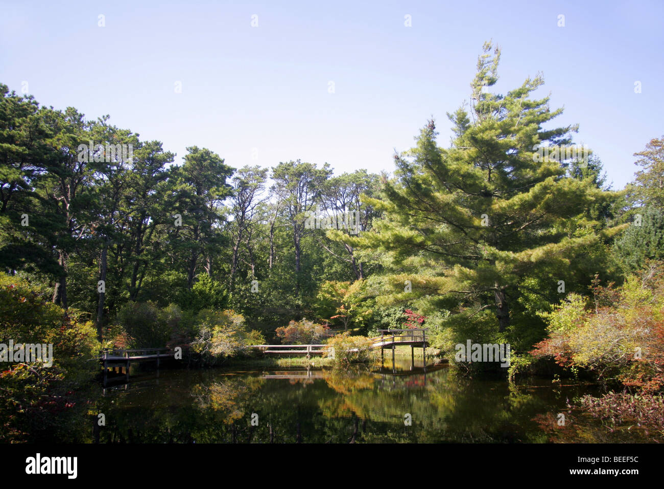 Mytoi giardini Giapponesi, Chappaquiddick island, Martha's Vineyard, Cape Cod, New England, Massachusetts, STATI UNITI D'AMERICA Foto Stock