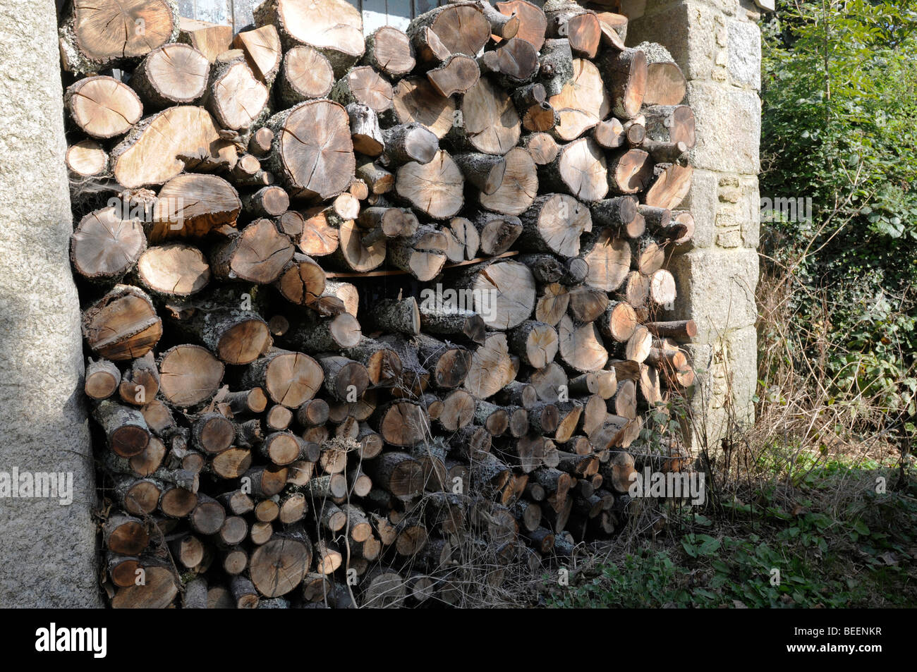 Una pila di essiccazione del legno Foto Stock