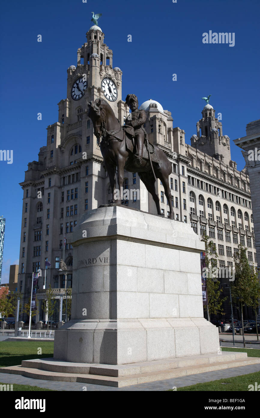 La Edward VII VII statua che si trova nella parte anteriore del Royal Liver Building uno dei liverpools tre grazie edifici elencati in Liverpool Foto Stock