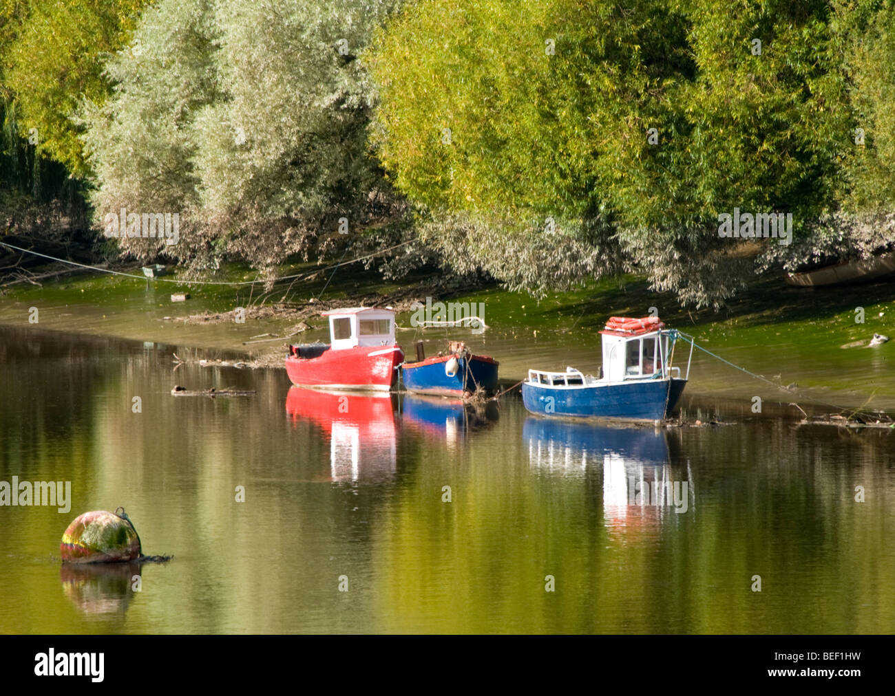 Piccole barche da pesca Ormeggiato sul fiume Dee, Chester, Cheshire, Inghilterra, Regno Unito Foto Stock