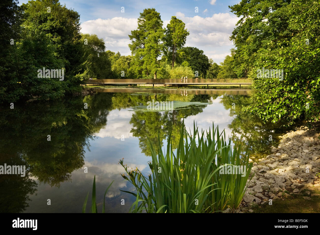 Vista della Sackler attraversando il lago in Kew Gardens. Foto Stock