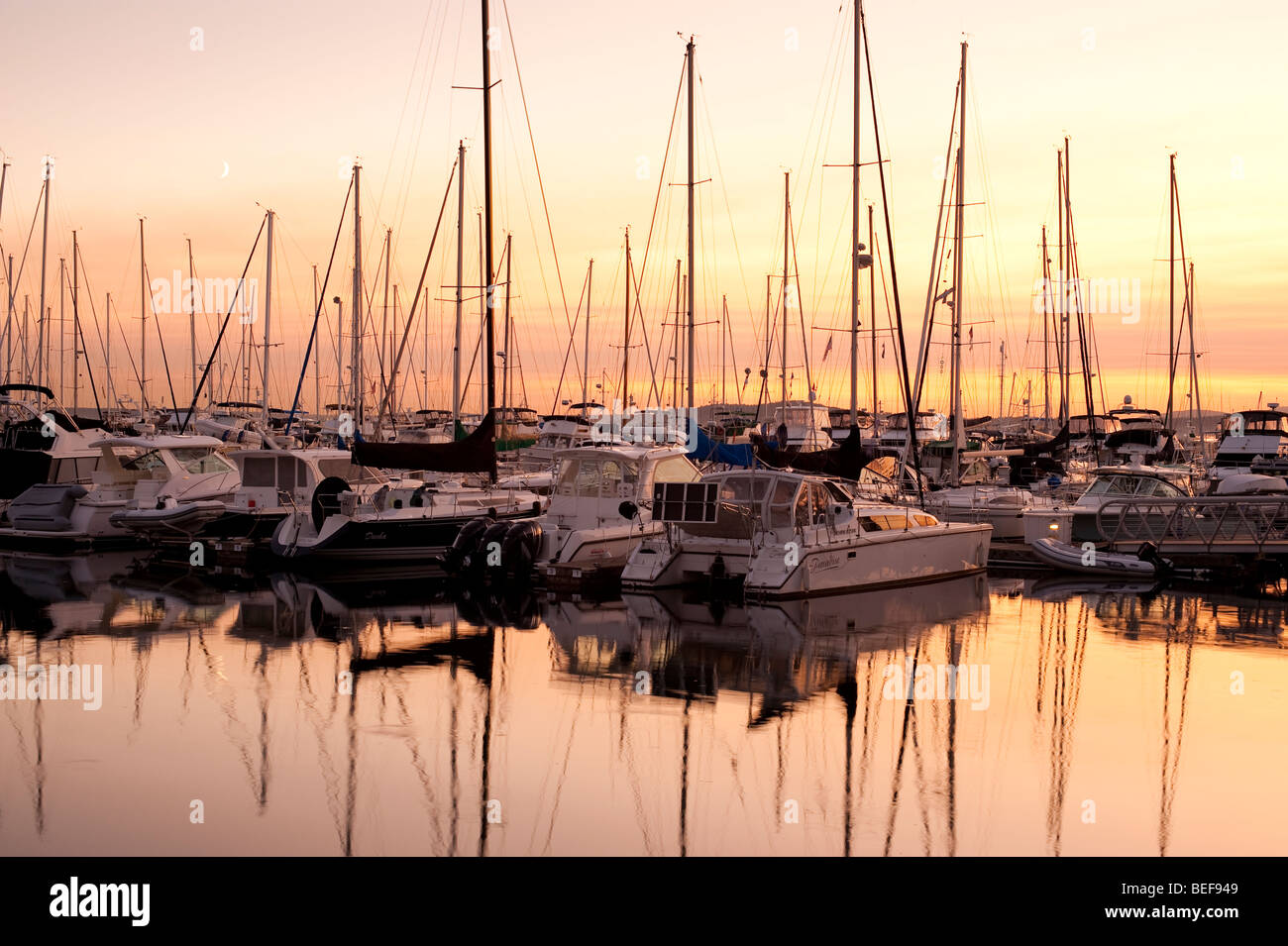 Sunset Elliott Bay Marina con barche ormeggiate al dock con luna crescente e di riflessioni a Seattle nello Stato di Washington STATI UNITI D'AMERICA Foto Stock