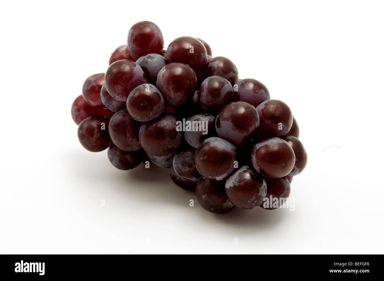 Isabella uva su uno sfondo bianco Foto Stock
