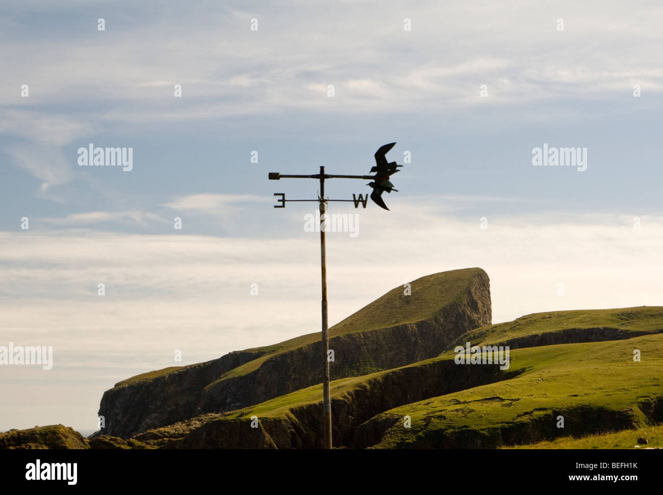 Banderuola con simbolo di Fair Isle osservatorio ornitologico con pecore Rock in background sul Fair Isle Shetland Foto Stock