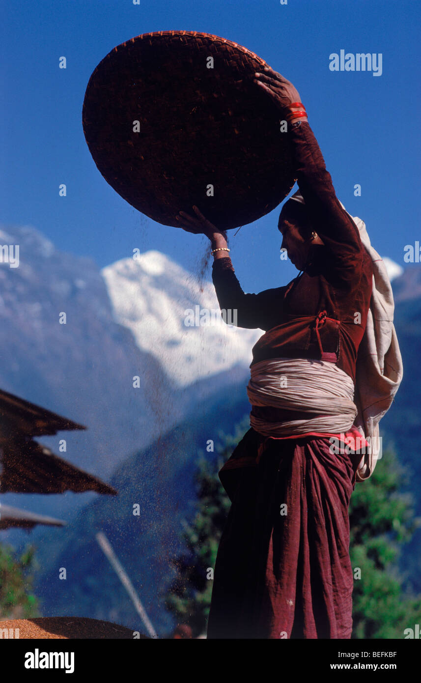 Le donne lo sfregamento grano nel villaggio di Ghandruk sotto Annapurnas in Nepal presso sunrise Foto Stock