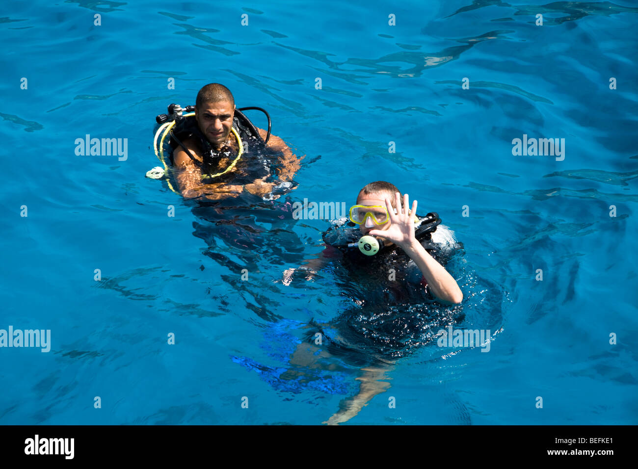 Immersioni a Sharm el Sheikh, Mar Rosso, Egitto Foto Stock