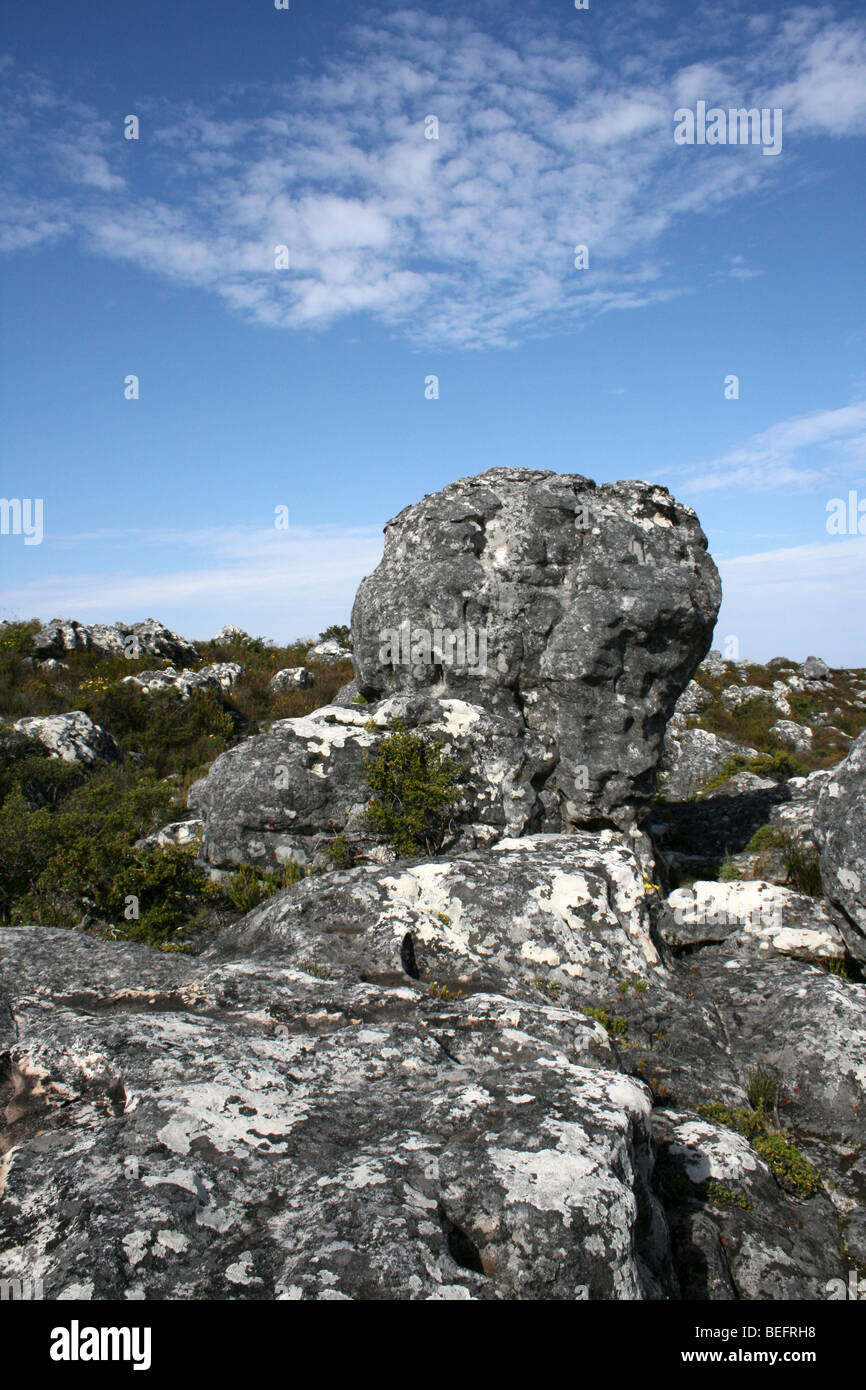 Rocce sul Vertice di Table Mountain e Cape Town, Sud Africa Foto Stock