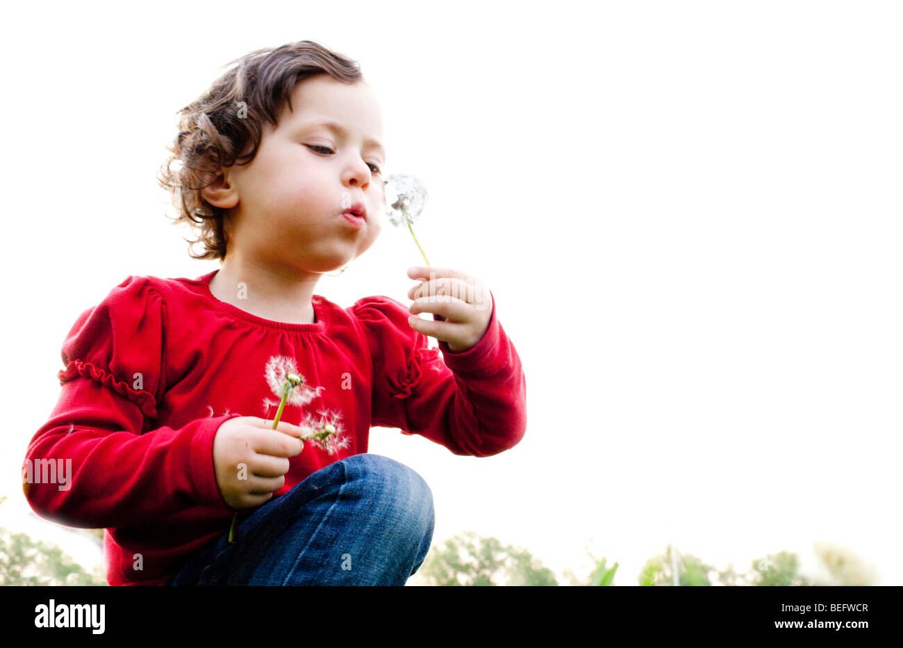 Ragazza con blowballs Foto Stock