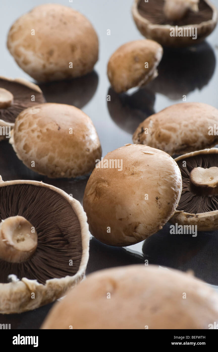 Organici di funghi castagne Foto Stock