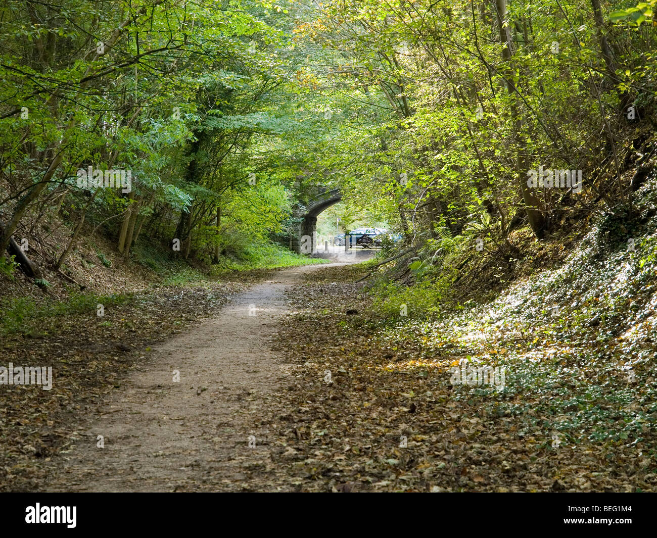 Una vista lungo la Tissington Trail, DERBYSHIRE REGNO UNITO Inghilterra Foto Stock