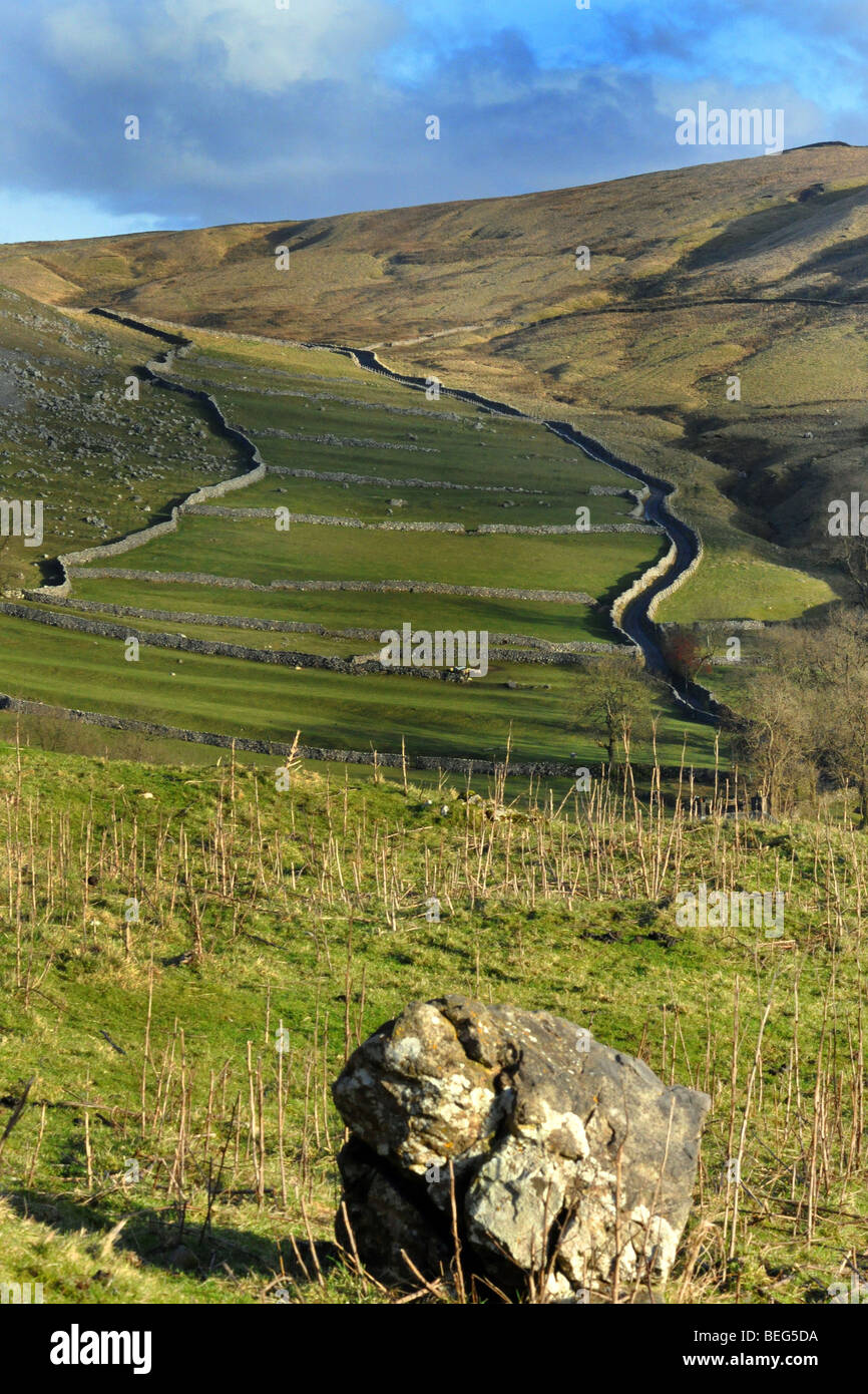 Pareti in pietra calcarea, Malham Dale, vicino a Janet's Foss, Yorkshire Dales REGNO UNITO Foto Stock