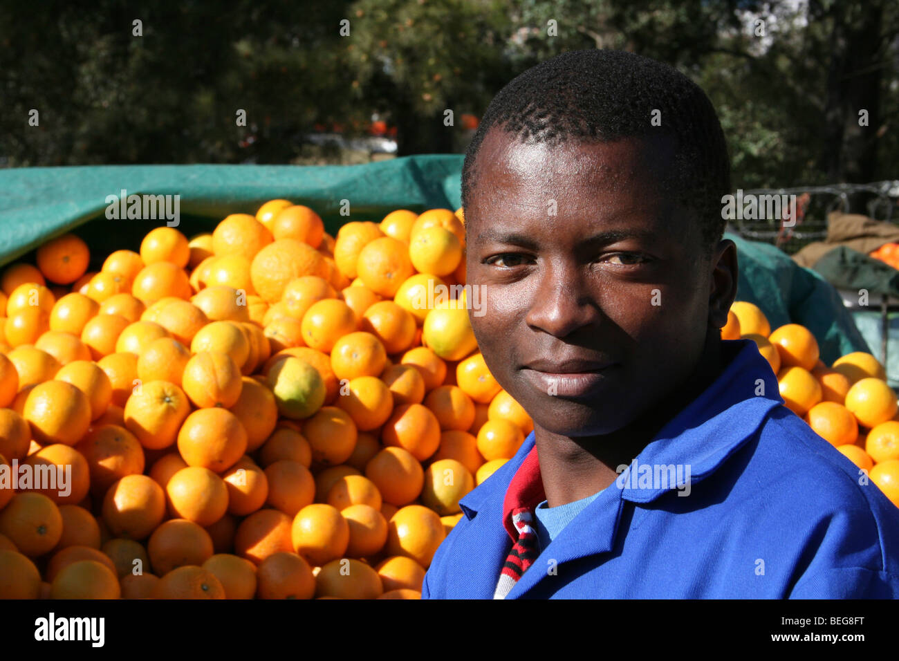 L'uomo africano vendita di arance a Mbabane, dello Swaziland Foto Stock