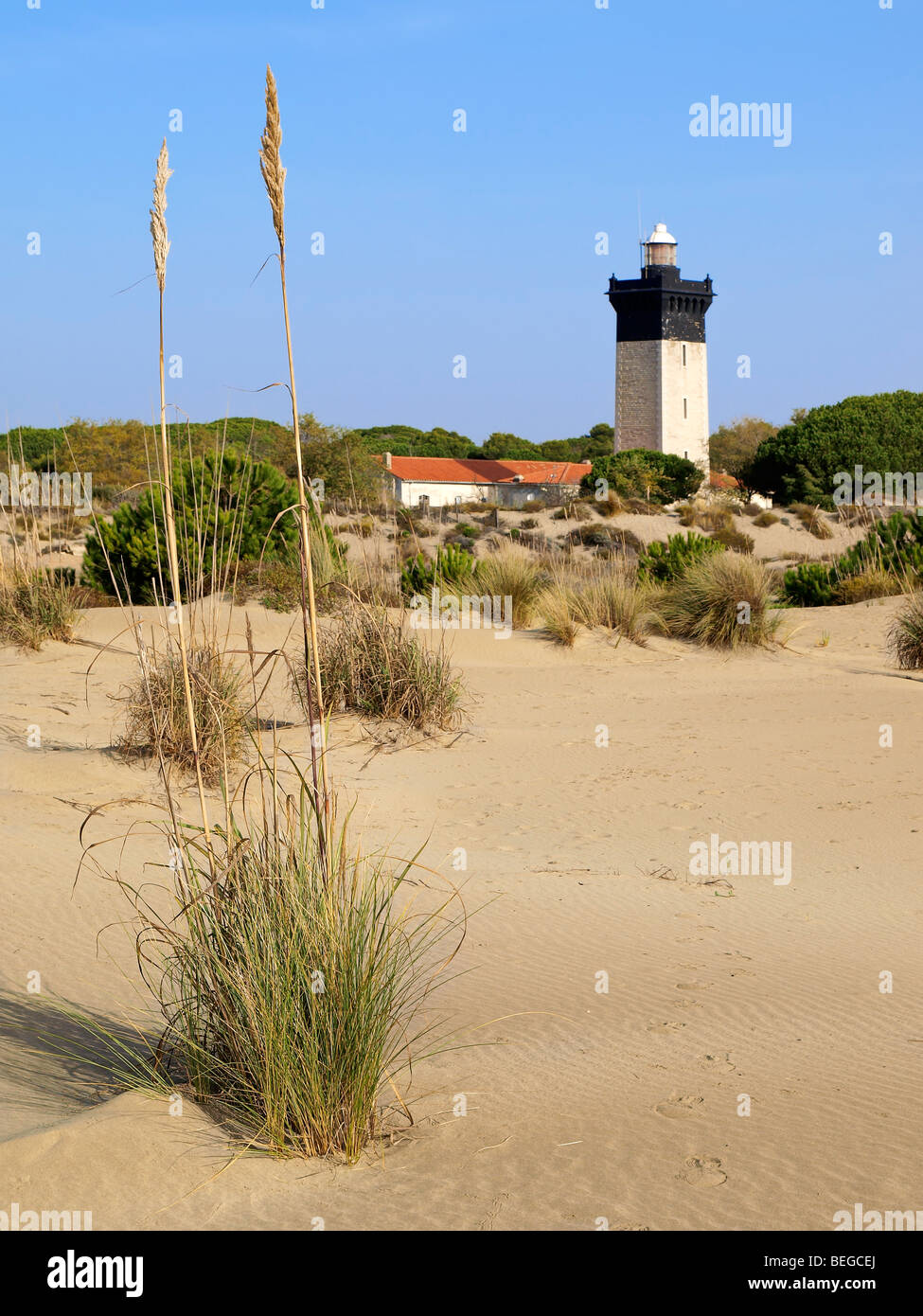 Espiguette faro, Languedoc Roussillon, Francia. Foto Stock