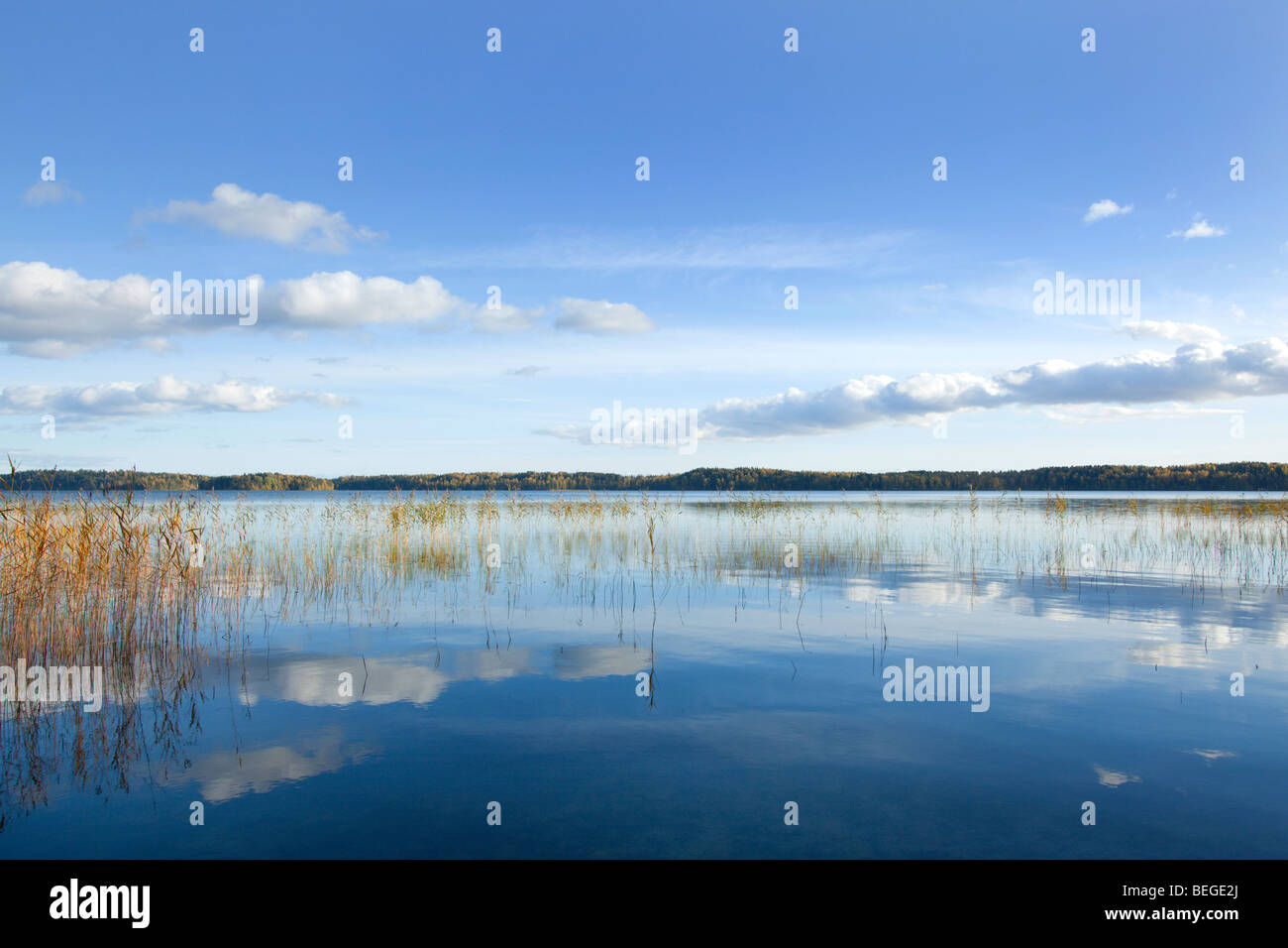 Lago Vitträsk in Finlandia Foto Stock