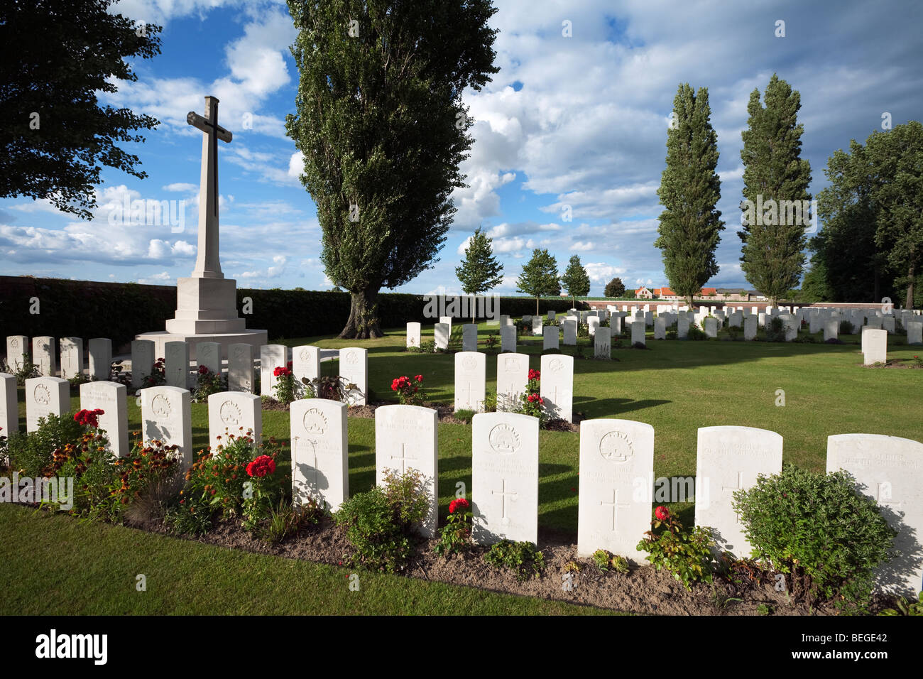 Prima Guerra Mondiale britannica cimitero militare con alberi di pioppo. Foto Stock