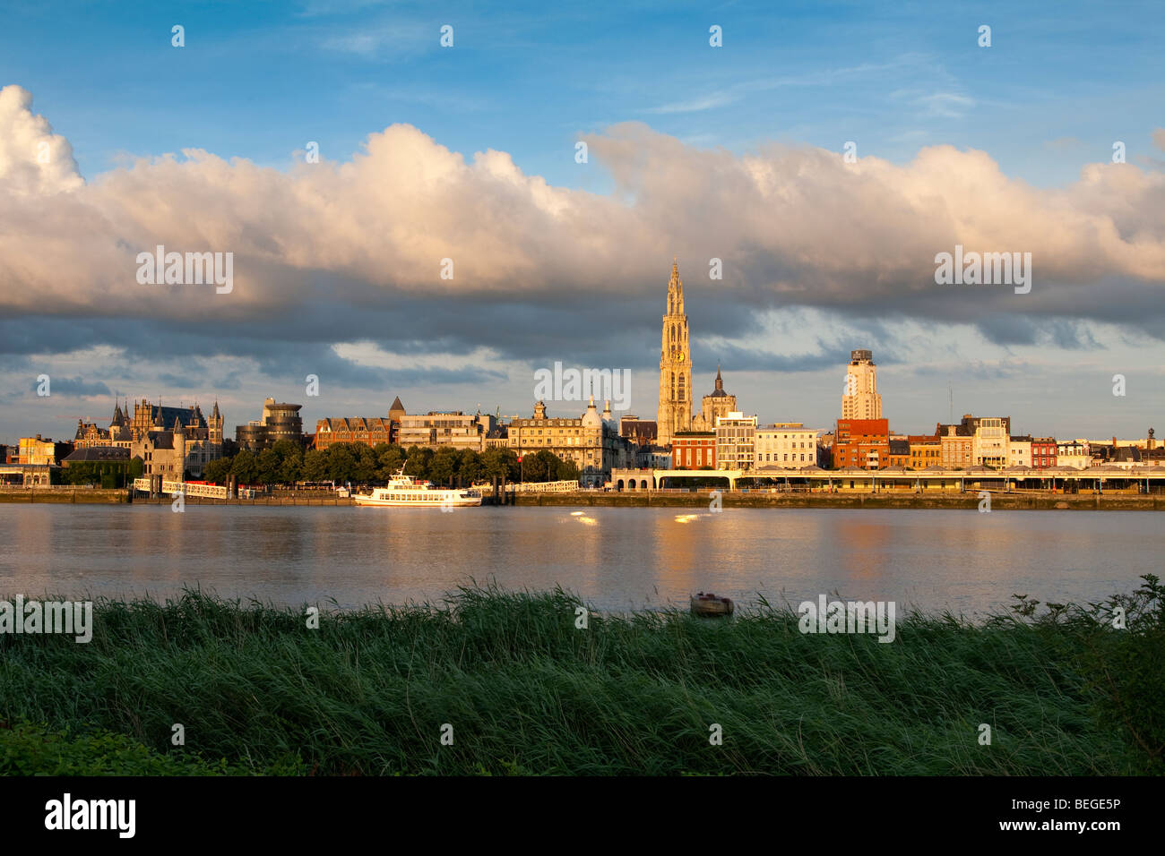 La Cattedrale di Anversa e la città al tramonto sulla riva del fiume Schelde. Foto Stock