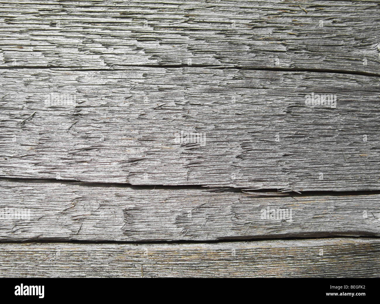 Texture della tavola di legno Foto Stock