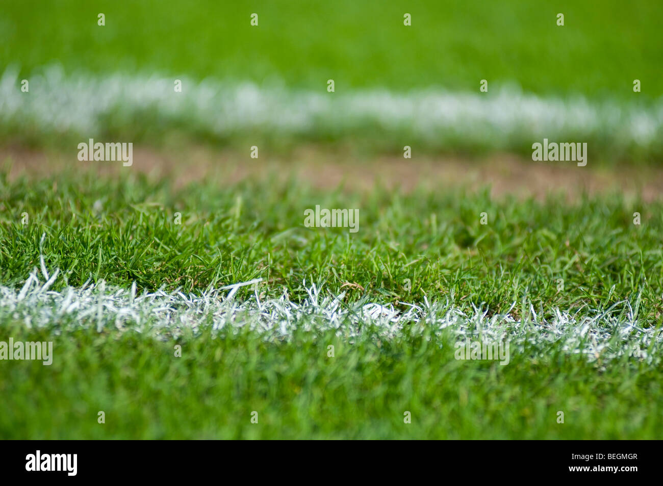 Creative terreno di calcio erba foto Foto Stock