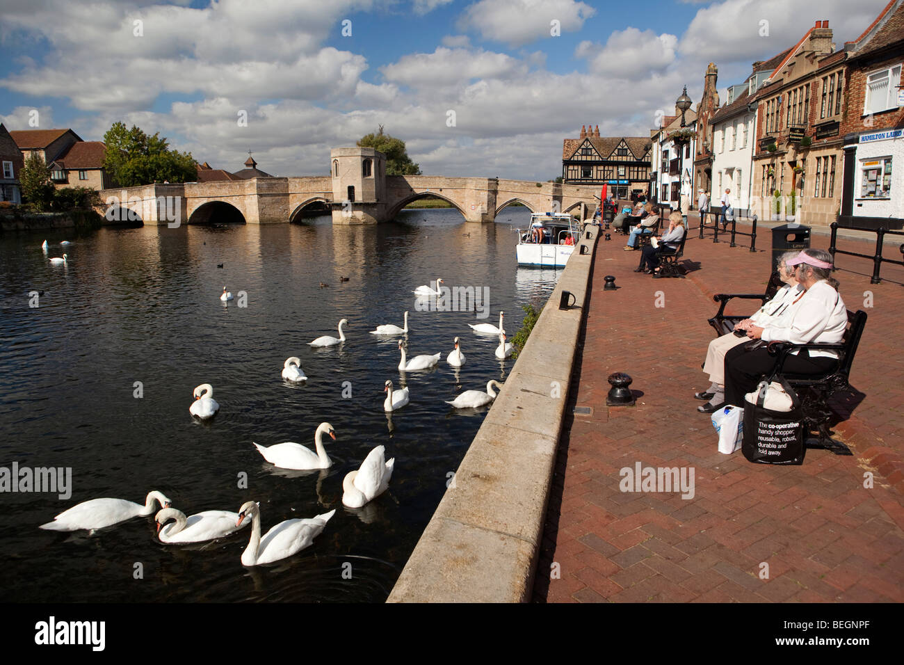 Inghilterra, Cambridgeshire, St Ives, Quay, cigni e anatre sul Fiume Great Ouse dal ponte di pietra e la cappella Foto Stock