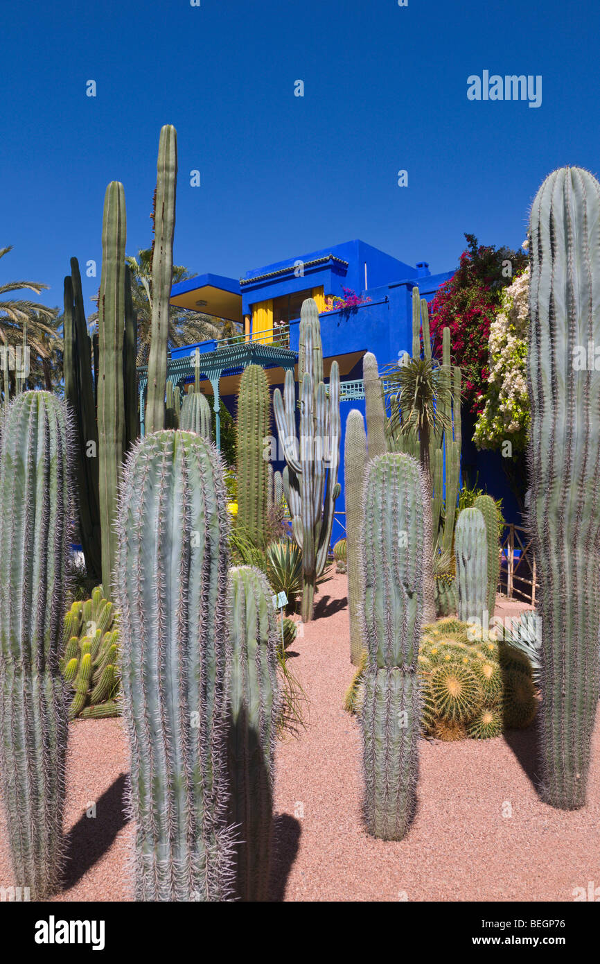 Giardino Majorelle Marrakech marocco Foto Stock