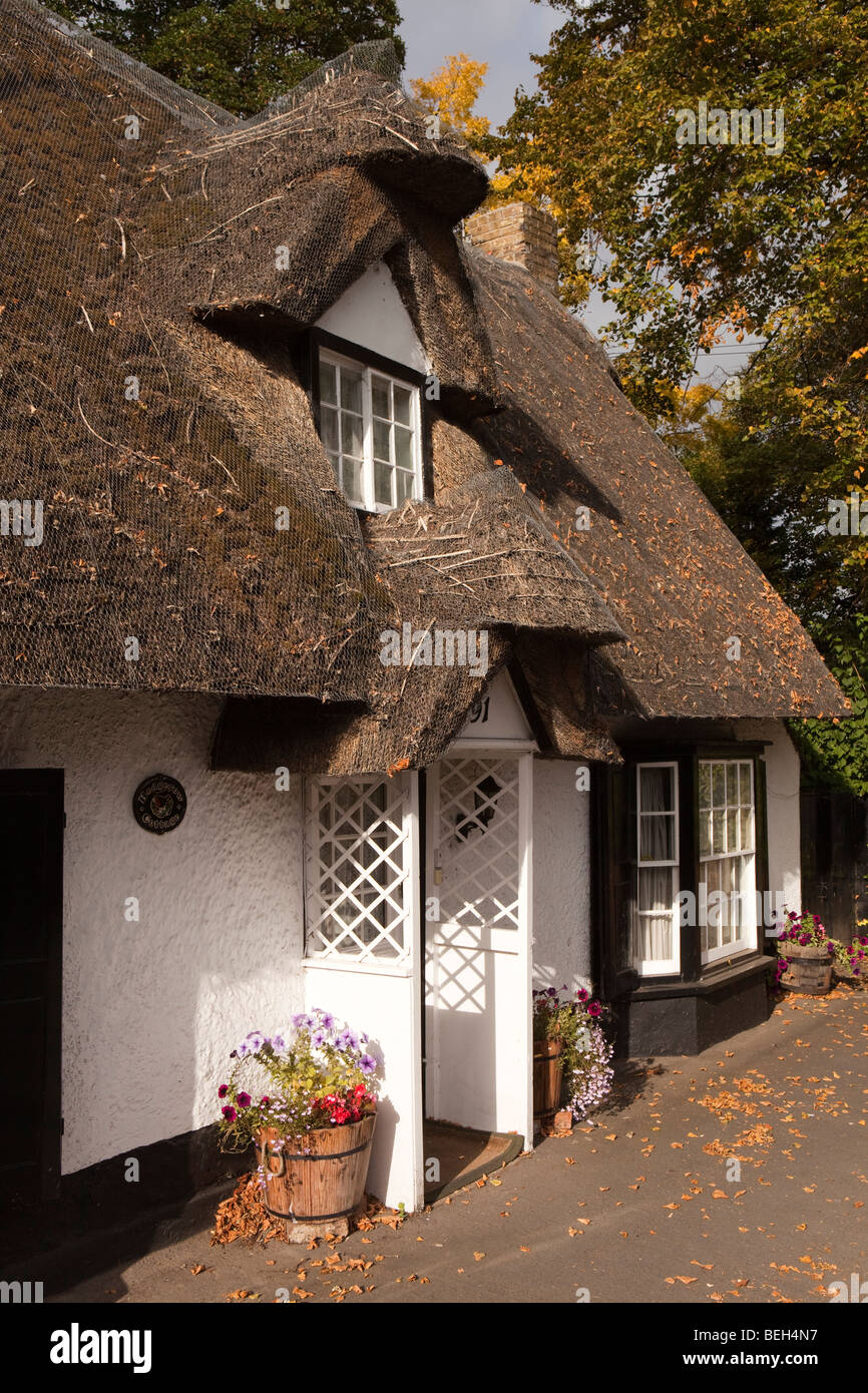 Inghilterra, Cambridgeshire, Huntingdon, Brampton village siepe cottage strada idilliaco tetto di paglia house Foto Stock