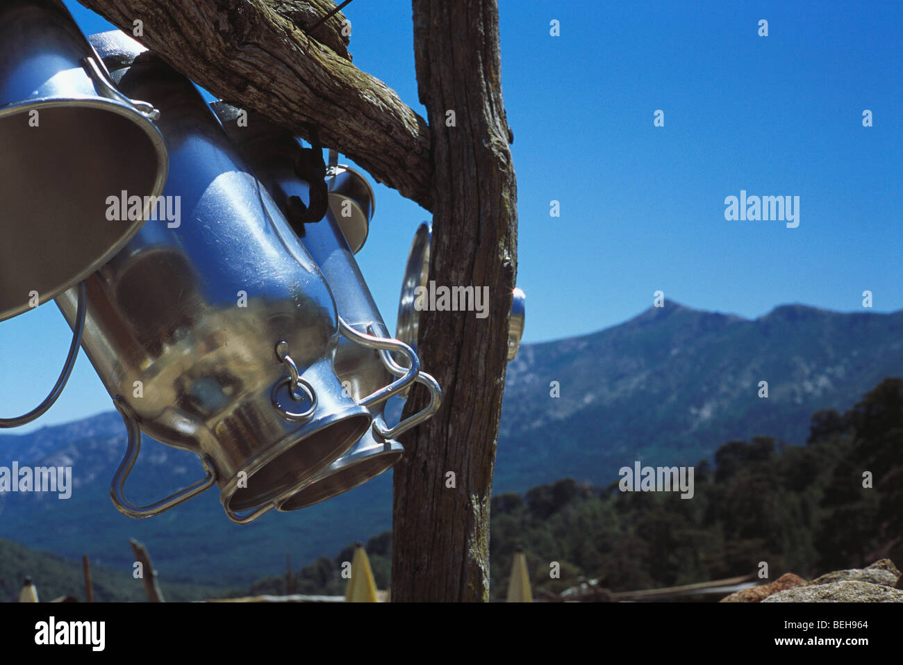 I bidoni per il latte di capra Bergeries de Radule Corsica Foto Stock