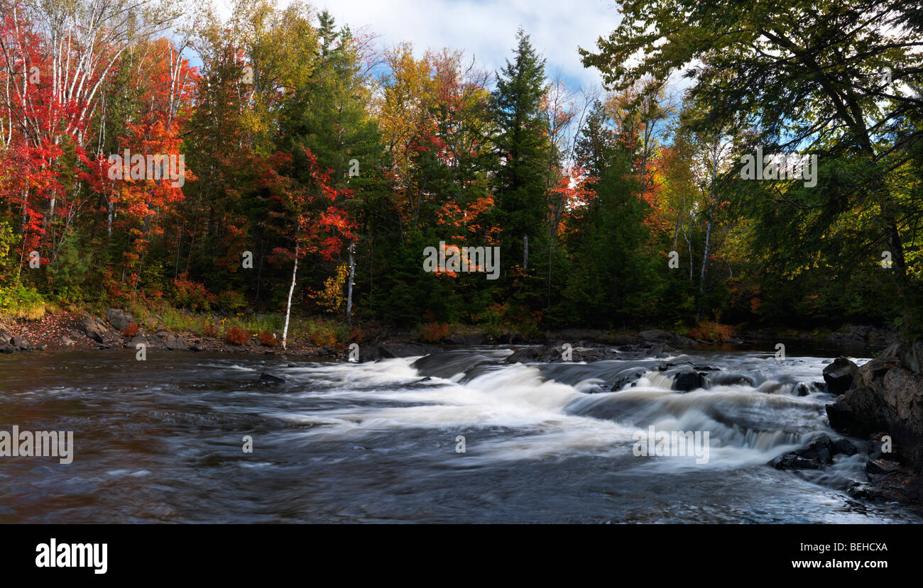 Oxtongue fiume. Bellissima vista panoramica rientrano la natura paesaggio. Algonquin, Muskoka, Ontario, Canada. Foto Stock