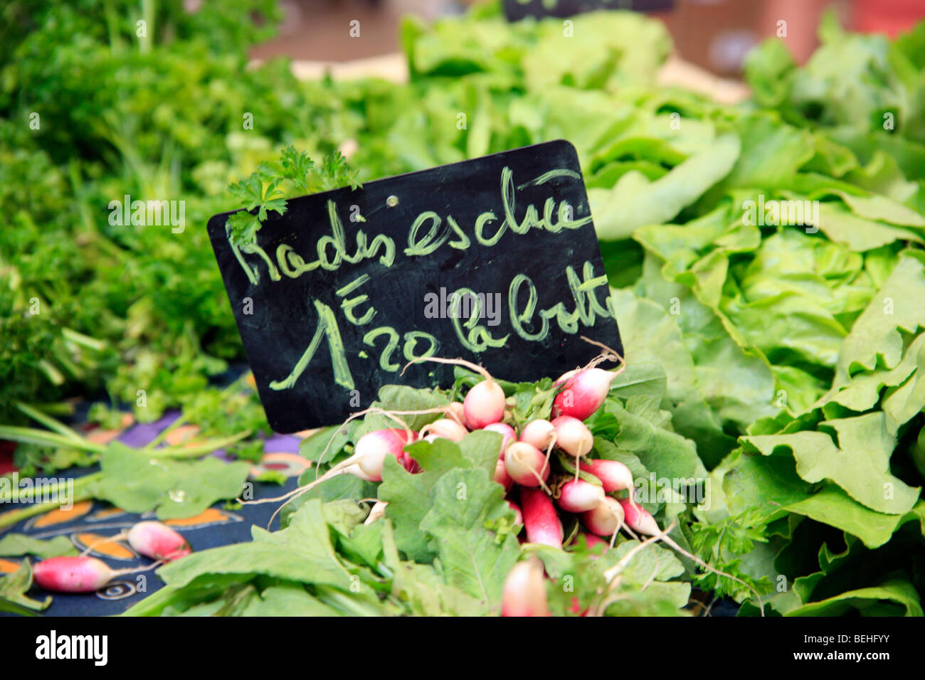 Ravanelli in stallo a Marche Forville, Cannes Foto Stock