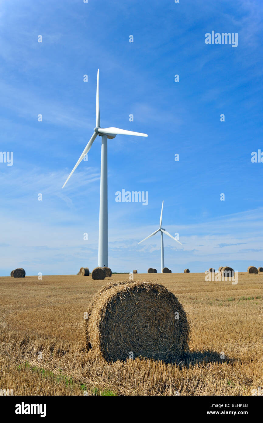 Le turbine eoliche in campo rasata con balle di fieno Foto Stock