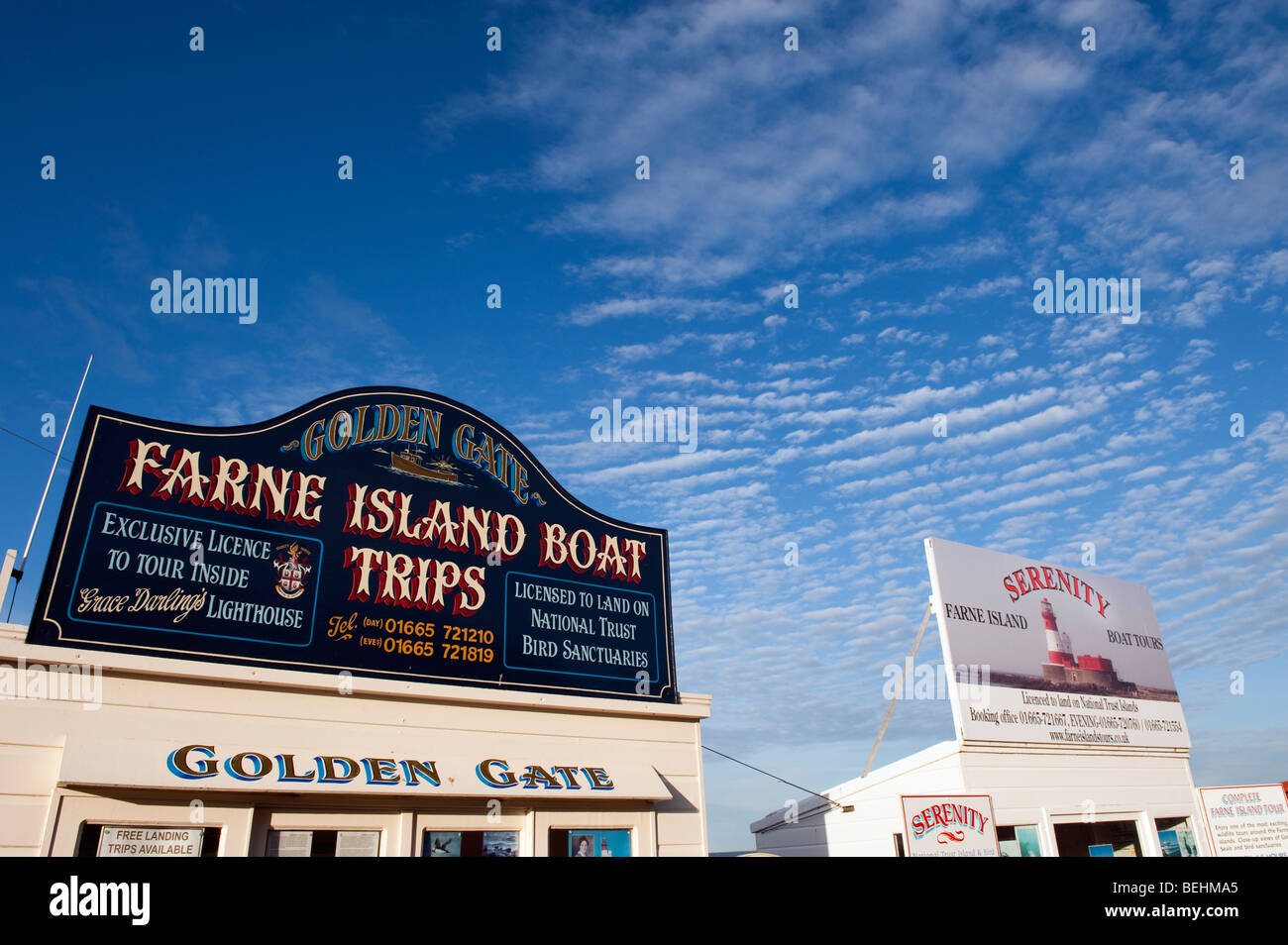 Prenotazione kiosk pubblicità segno gite in barca per le isole farne a Seahouses, Northumberland,'Nord Est',Inghilterra "Gran Bretagna" Foto Stock