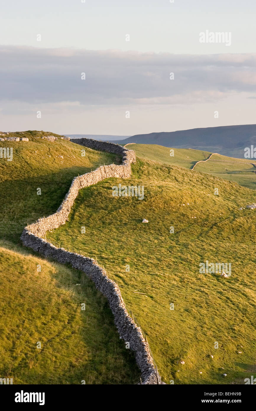 Una parete di stalattite segue i contorni delle colline, Conistone, Superiore Wharfedale, Yorkshire Dales, Inghilterra Foto Stock