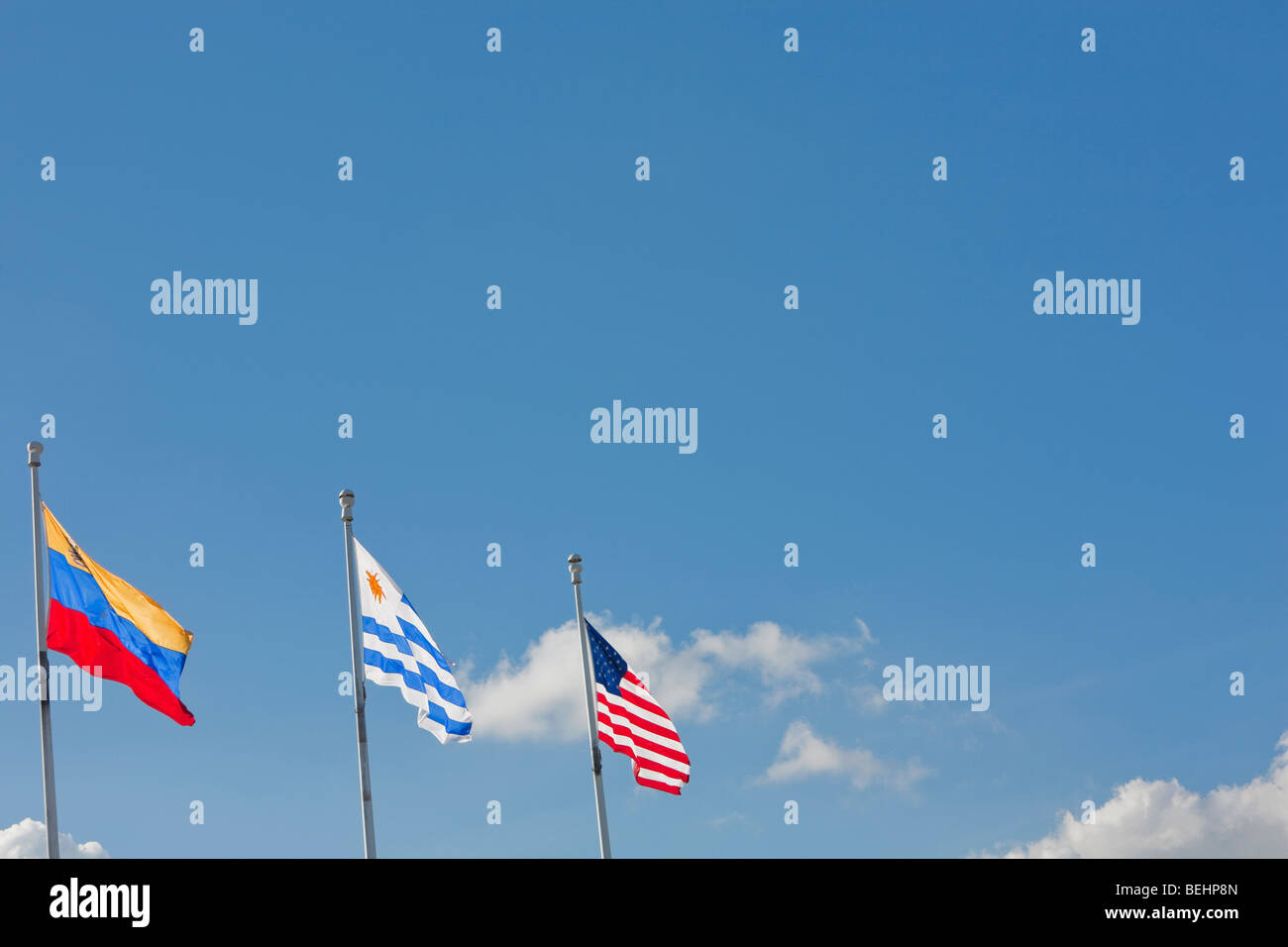 Basso angolo vista di bandiere nazionali, Miami, Miami-Dade County, Florida, Stati Uniti d'America Foto Stock