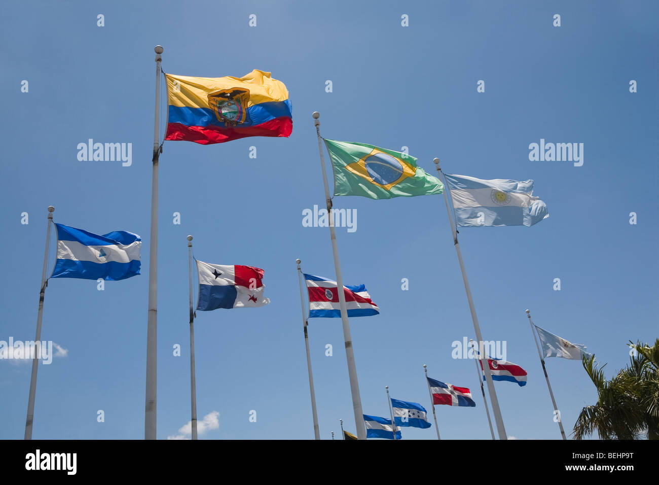 Basso angolo vista di bandiere nazionali, Miami, Miami-Dade County, Florida, Stati Uniti d'America Foto Stock