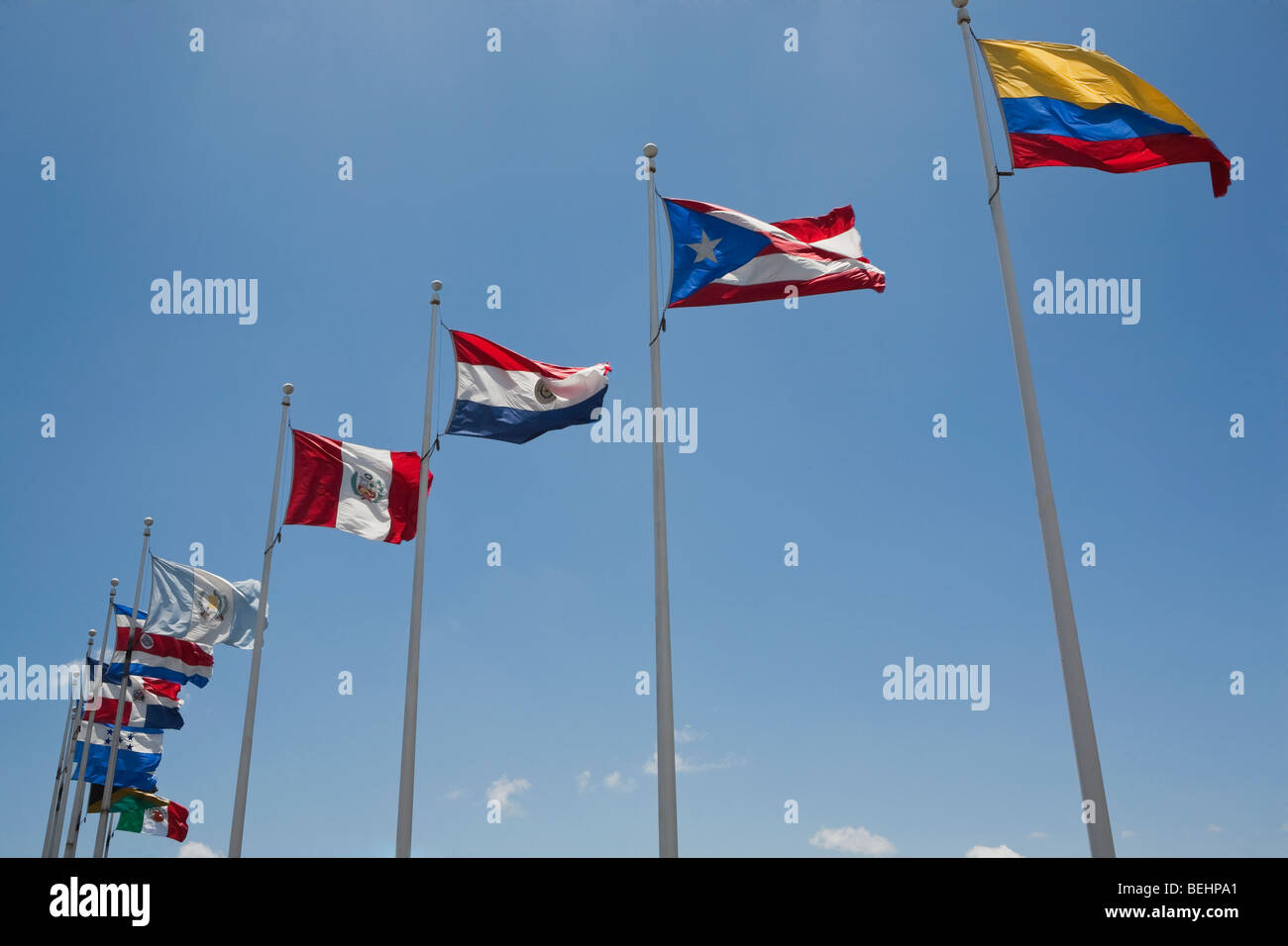 Basso angolo vista di bandiere nazionali, Miami, Miami-Dade County, Florida, Stati Uniti d'America Foto Stock