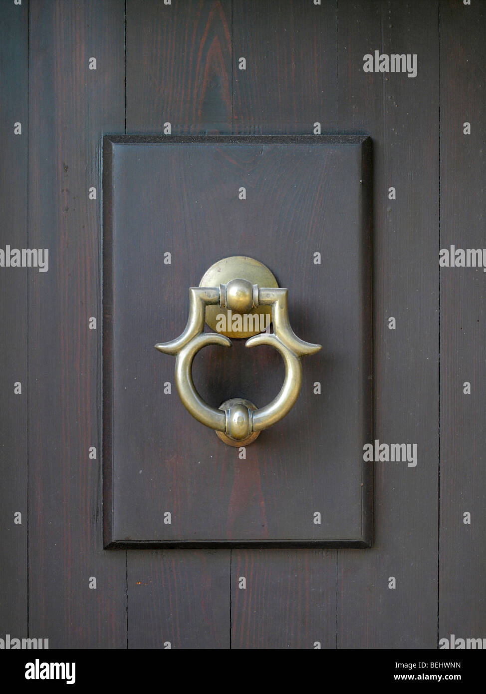 Una porta ornata respingente su una porta di legno a Cividale del Friuli nel nord Italia Foto Stock