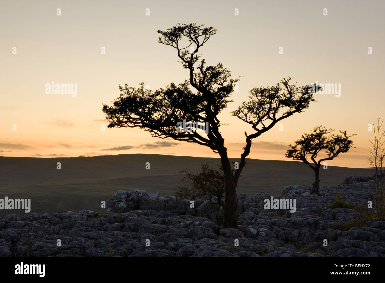 Pavimentazione di pietra calcarea vicino Conistone, Superiore Wharfedale, nel Yorkshire Dales National Park, Inghilterra Foto Stock
