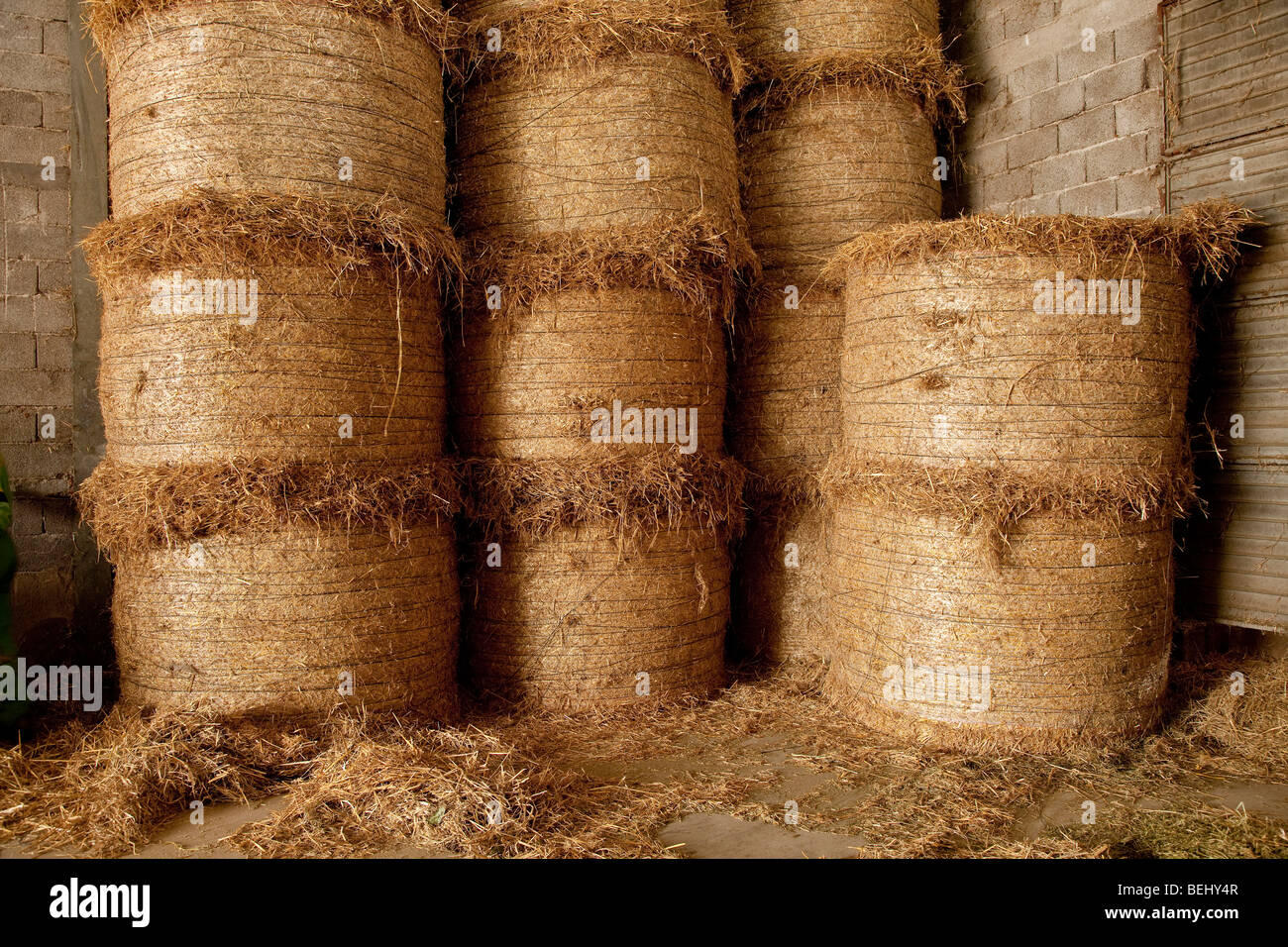 Balle di fieno nel fienile a Farm locale, Veneto, Italia Foto Stock