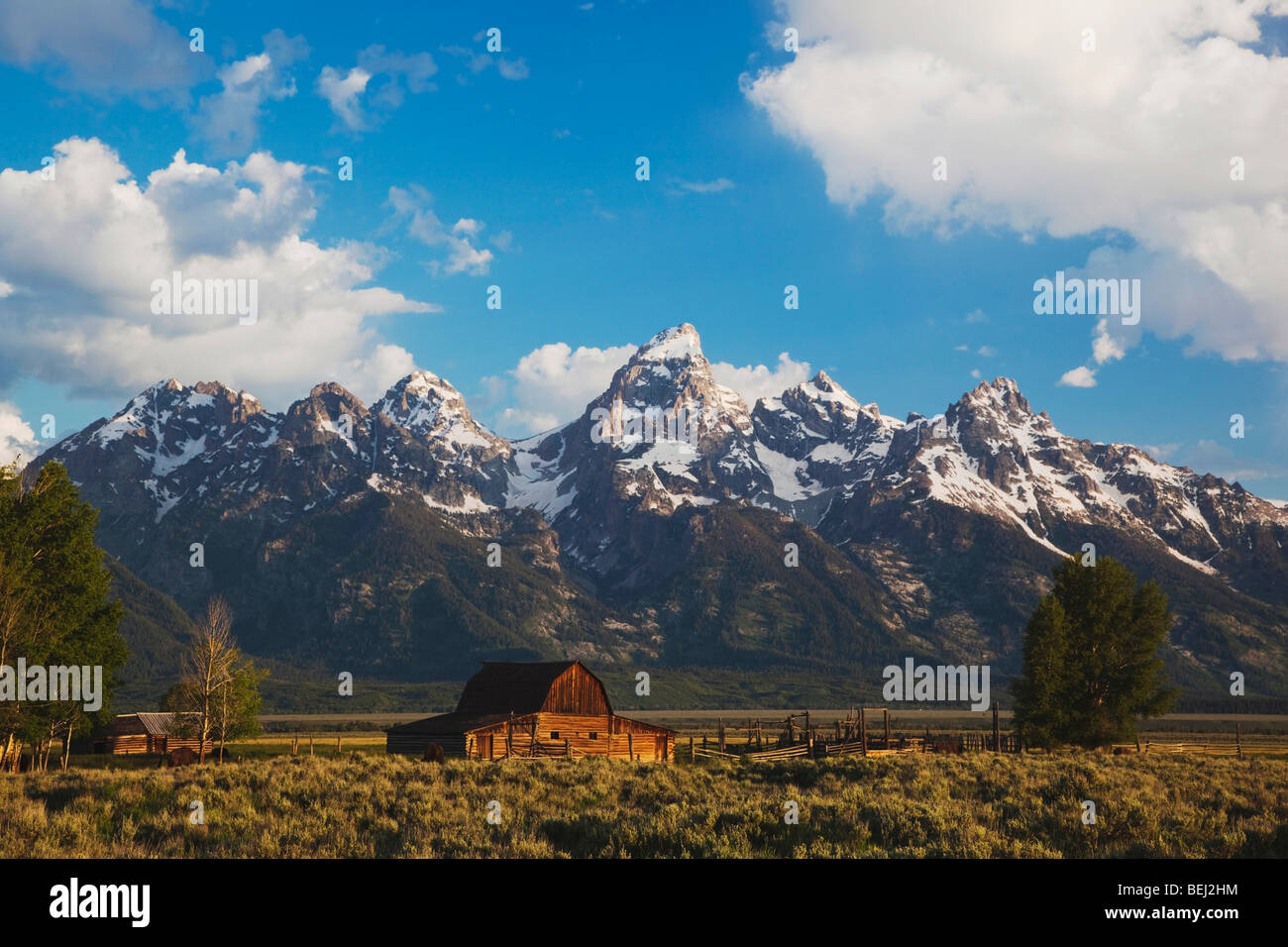Il vecchio fienile in legno e Grand Teton range, Antelope Flats, Grand Teton NP,Wyoming, STATI UNITI D'AMERICA Foto Stock