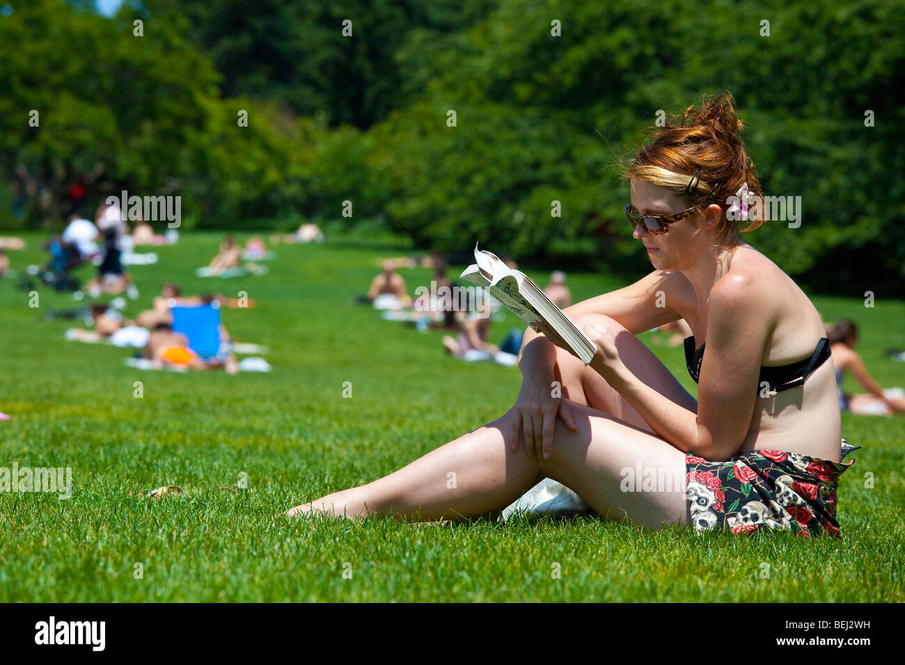 Donna che legge un libro in Sheep Meadow nel Central Park di New York City Foto Stock