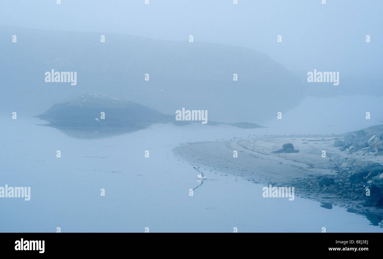 Costa della Svezia, west coast. Foto Stock