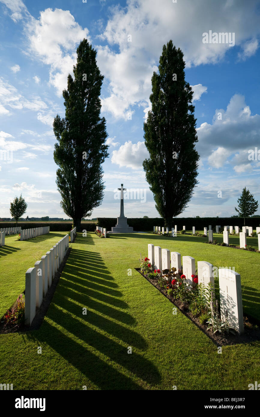 Prima Guerra Mondiale britannica cimitero militare con alberi di pioppo, nei pressi di Ypres. Foto Stock