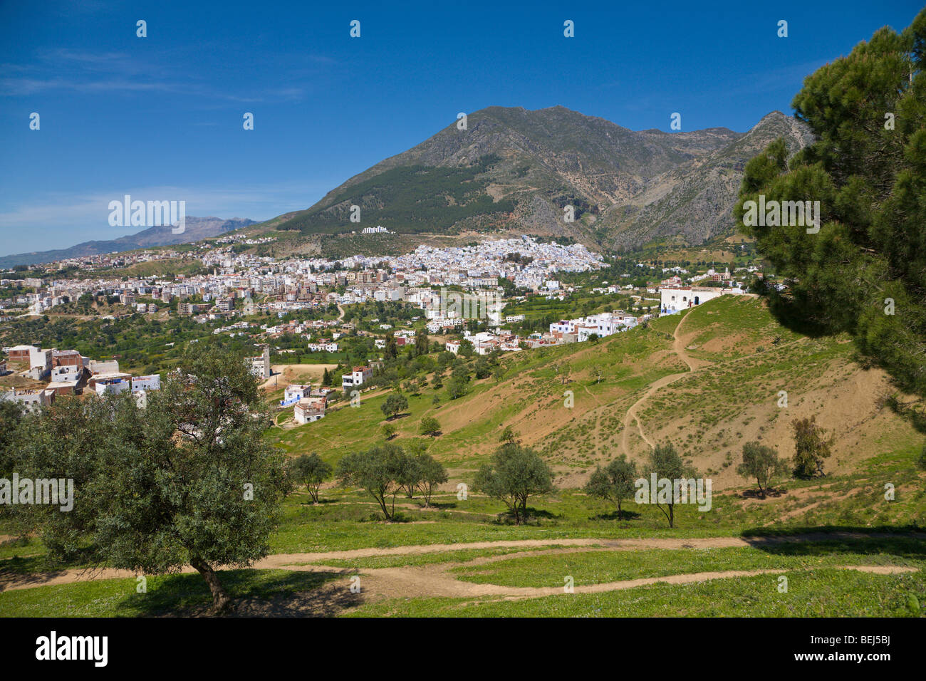 Chefchaouen e Rif Mountains Marocco Foto Stock