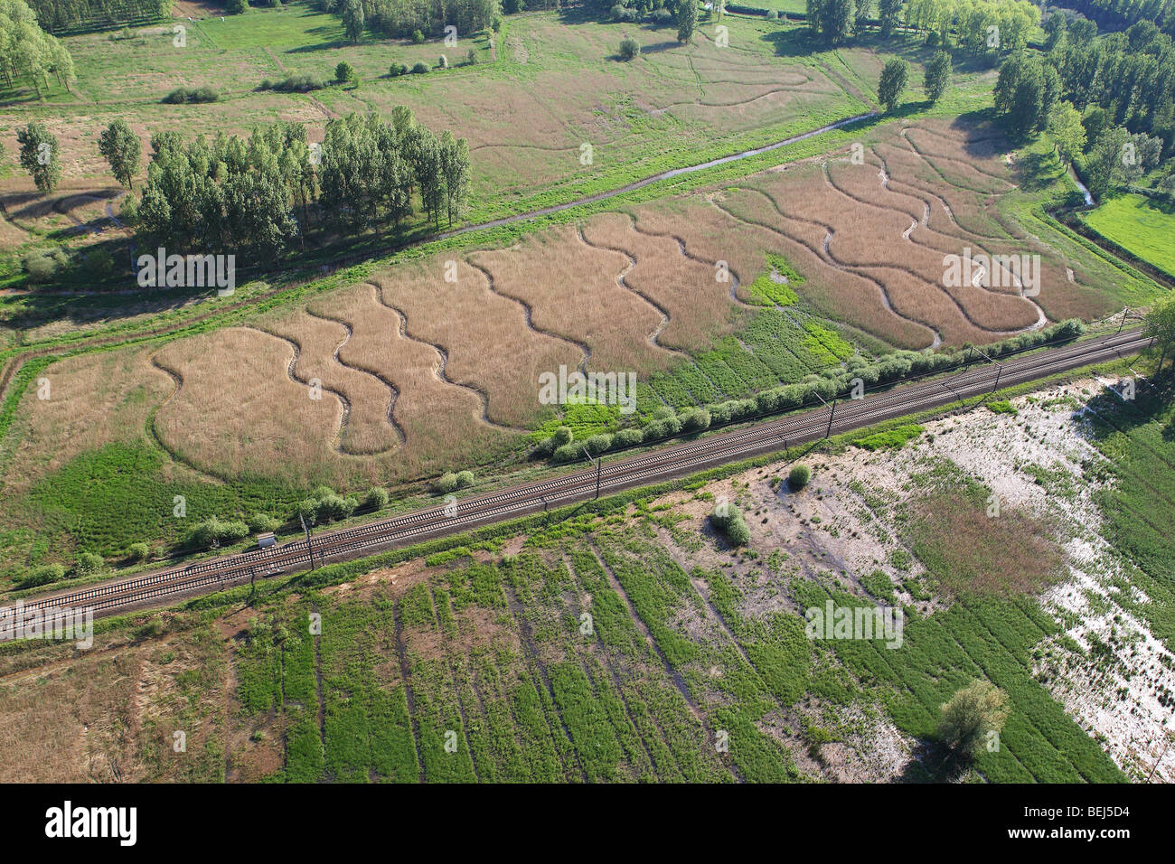 Le zone umide e reedland dall'aria, Demerbroeken riserva naturale, Belgio Foto Stock