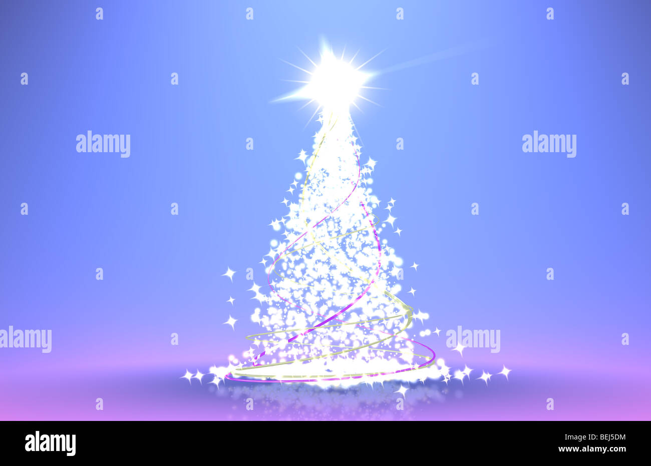 stelle di Natale Foto Stock