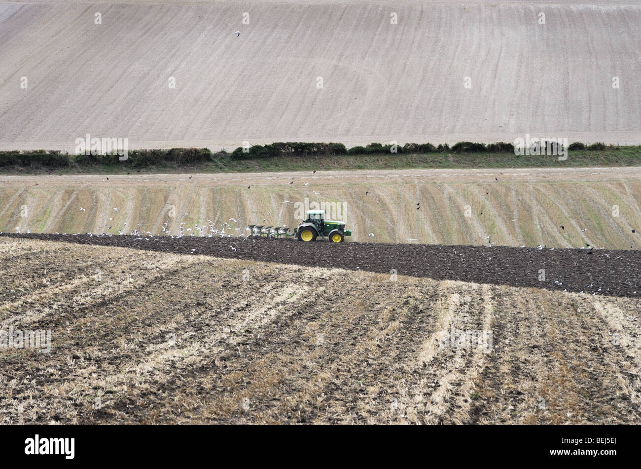 Il trattore arare un campo del South Downs, vicino il disallineamento, Sussex, Inghilterra Foto Stock