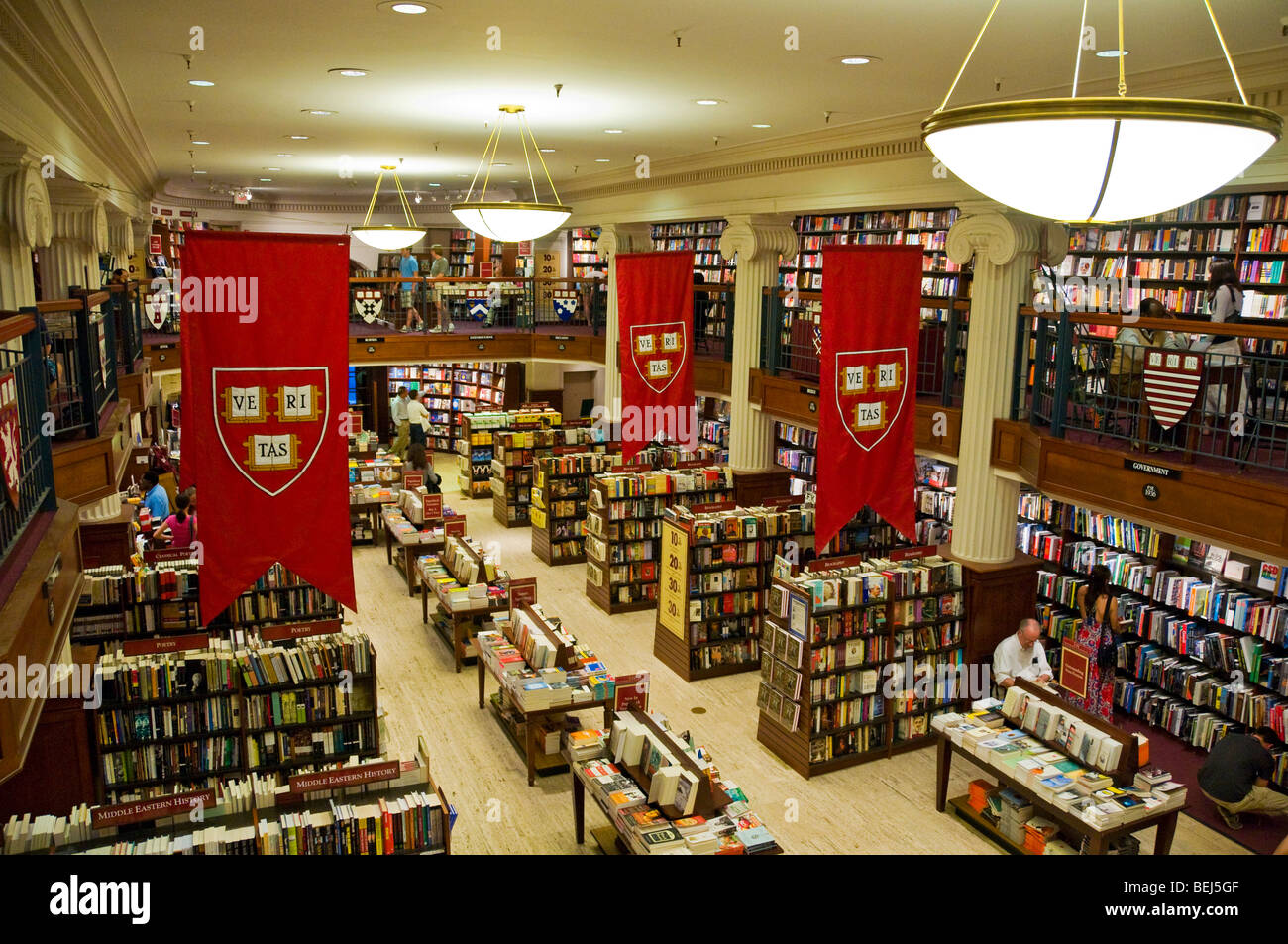 Libreria di Harvard su Harvard Square Cambridge Massachusetts Foto Stock