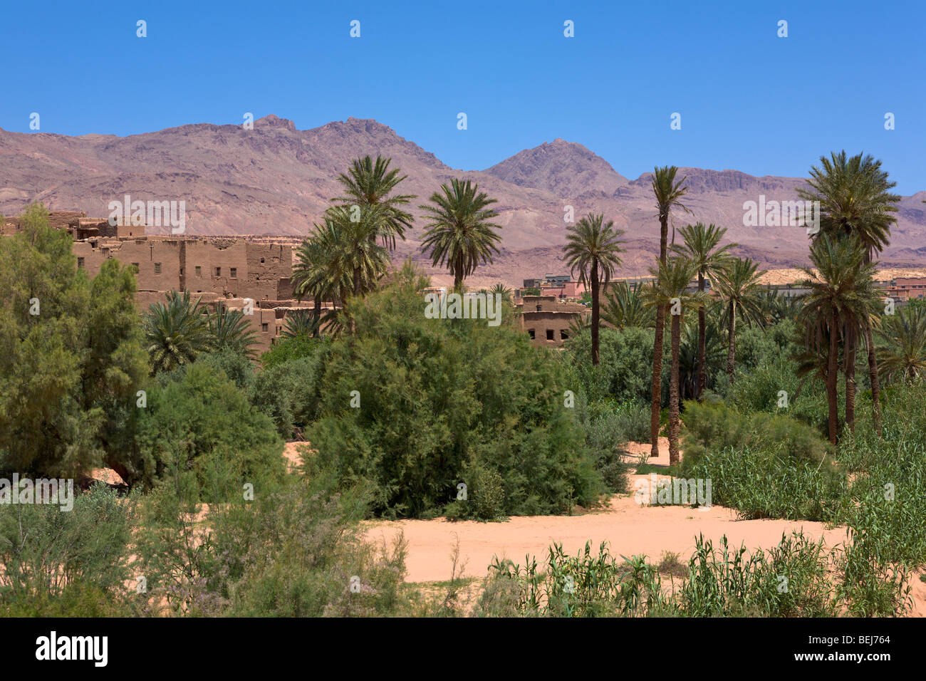 Villaggio e oasi di Tinerhir Dades Valle Alto Atlante Marocco Foto Stock