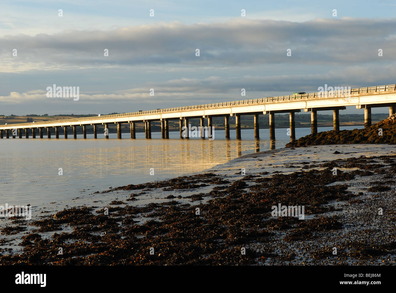 Cromarty Firth Bridge in Scozia. Foto Stock
